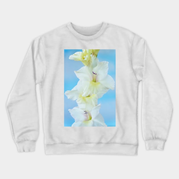 Gladiolus  &#39;White Prosperity&#39;  Sword lily Crewneck Sweatshirt by chrisburrows